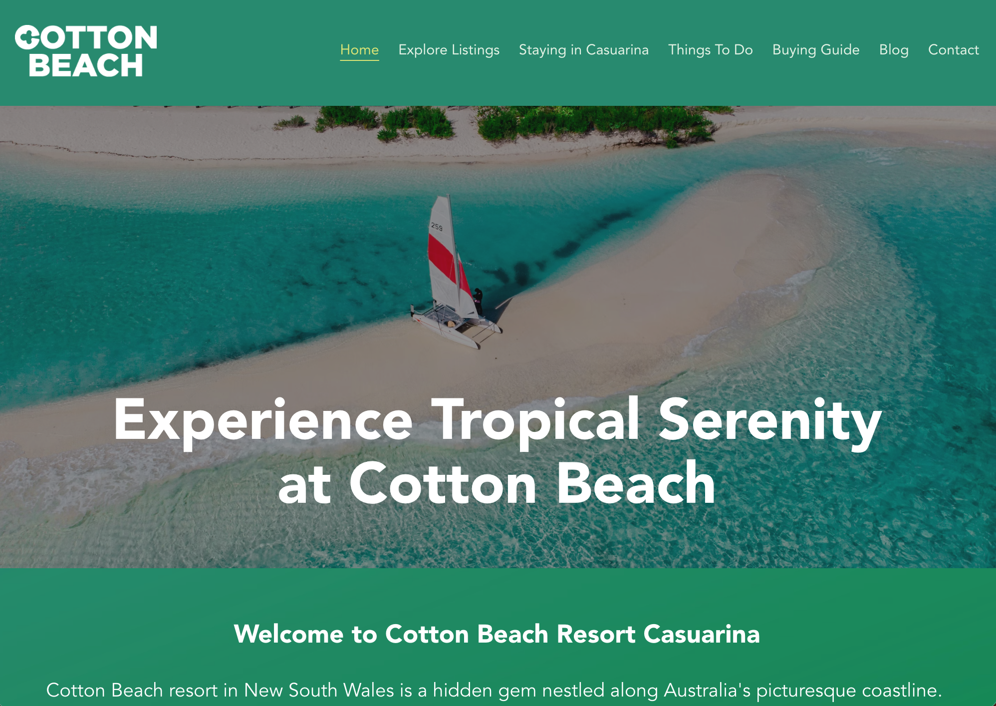 Cotton Beach Casuarina